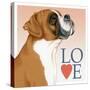 Boxer Love-Tomoyo Pitcher-Stretched Canvas