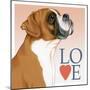 Boxer Love-Tomoyo Pitcher-Mounted Giclee Print