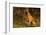 Boxer (Male-Lynn M^ Stone-Framed Photographic Print