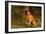 Boxer (Male-Lynn M^ Stone-Framed Photographic Print