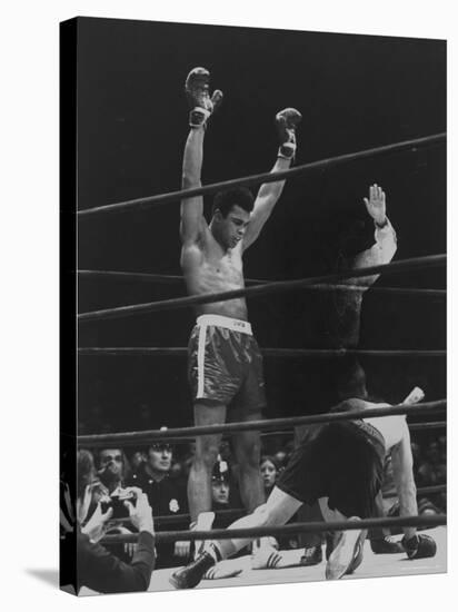 Boxer Muhammad Ali Raising His Gloves Victoriously After Knocking Out Oscar Bonavena-Bill Ray-Stretched Canvas