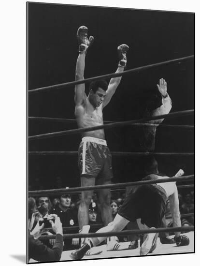 Boxer Muhammad Ali Raising His Gloves Victoriously After Knocking Out Oscar Bonavena-Bill Ray-Mounted Premium Photographic Print