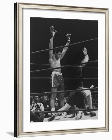 Boxer Muhammad Ali Raising His Gloves Victoriously After Knocking Out Oscar Bonavena-Bill Ray-Framed Premium Photographic Print