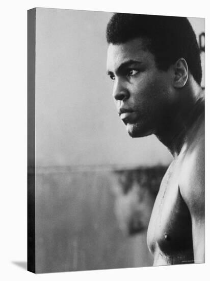 Boxer Muhammad Ali Training for a Fight Against Joe Frazier-John Shearer-Stretched Canvas