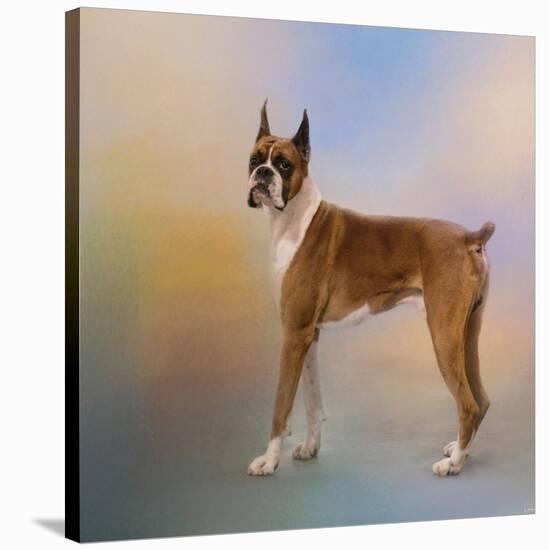 Boxer on a Beautiful Day-Jai Johnson-Stretched Canvas