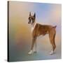 Boxer on a Beautiful Day-Jai Johnson-Stretched Canvas
