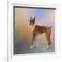 Boxer on a Beautiful Day-Jai Johnson-Framed Giclee Print