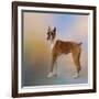 Boxer on a Beautiful Day-Jai Johnson-Framed Giclee Print