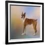 Boxer on a Beautiful Day-Jai Johnson-Framed Giclee Print