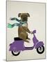 Boxer On Moped-Fab Funky-Mounted Art Print