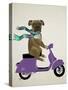 Boxer On Moped-Fab Funky-Stretched Canvas