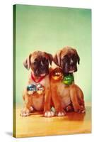 Boxer Puppies with Christmas Bulb Collars-Found Image Press-Stretched Canvas