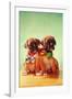 Boxer Puppies with Christmas Bulb Collars-Found Image Press-Framed Photographic Print