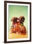 Boxer Puppies with Christmas Bulb Collars-Found Image Press-Framed Photographic Print