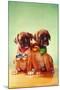 Boxer Puppies with Christmas Bulb Collars-Found Image Press-Mounted Photographic Print