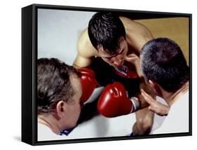 Boxer Receiving Advice-null-Framed Stretched Canvas