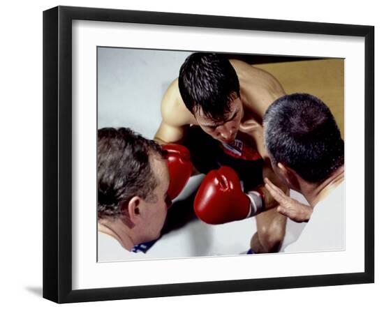 Premium Photographic Print, , large