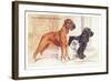 Boxer, Sealyham, Cocker Spaniel-null-Framed Art Print