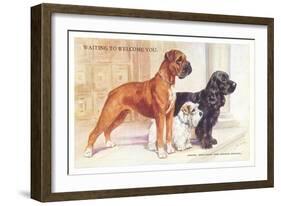 Boxer, Sealyham, Cocker Spaniel-null-Framed Art Print