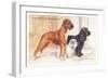 Boxer, Sealyham, Cocker Spaniel-null-Framed Art Print
