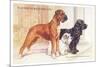 Boxer, Sealyham, Cocker Spaniel-null-Mounted Premium Giclee Print