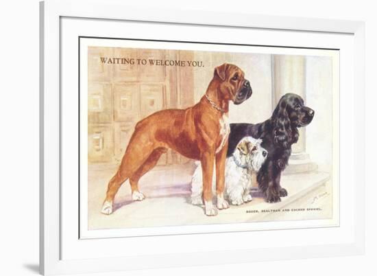 Boxer, Sealyham, Cocker Spaniel-null-Framed Art Print