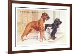 Boxer, Sealyham, Cocker Spaniel-null-Framed Art Print