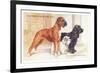 Boxer, Sealyham, Cocker Spaniel-null-Framed Art Print