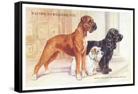 Boxer, Sealyham, Cocker Spaniel-null-Framed Stretched Canvas