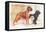 Boxer, Sealyham, Cocker Spaniel-null-Framed Stretched Canvas