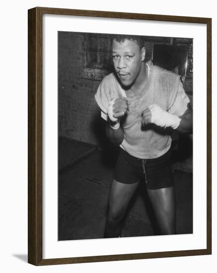 Boxer Spider Webb-null-Framed Premium Photographic Print