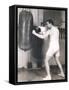 Boxer Working Out at Gym-null-Framed Stretched Canvas
