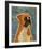 Boxer-John W^ Golden-Framed Art Print