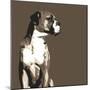 Boxer-Emily Burrowes-Mounted Giclee Print