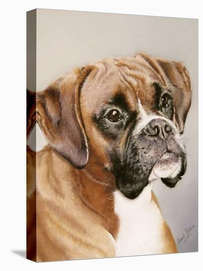 Boxer-Janet Pidoux-Stretched Canvas