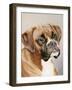 Boxer-Janet Pidoux-Framed Giclee Print