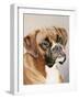 Boxer-Janet Pidoux-Framed Giclee Print