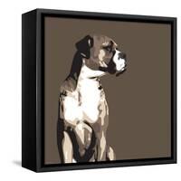 Boxer-Emily Burrowes-Framed Stretched Canvas