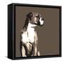 Boxer-Emily Burrowes-Framed Stretched Canvas