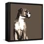 Boxer-Emily Burrowes-Framed Stretched Canvas