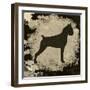 Boxer-Karen Williams-Framed Premium Giclee Print