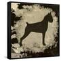 Boxer-Karen Williams-Framed Stretched Canvas