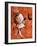 Boxer-Vaan Manoukian-Framed Art Print