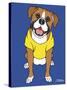 Boxer-Tomoyo Pitcher-Stretched Canvas