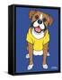 Boxer-Tomoyo Pitcher-Framed Stretched Canvas