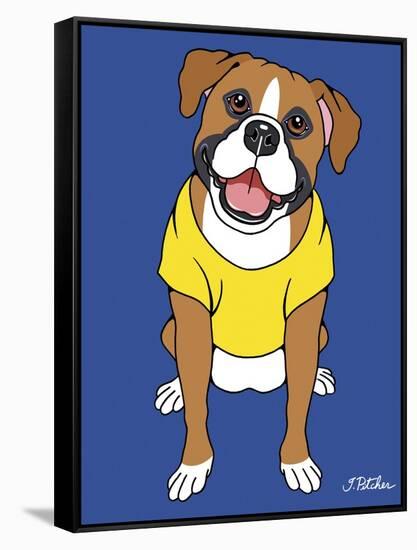 Boxer-Tomoyo Pitcher-Framed Stretched Canvas