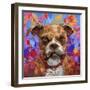 Boxer-Frank Harris-Framed Giclee Print