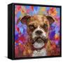 Boxer-Frank Harris-Framed Stretched Canvas