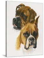 Boxer-Barbara Keith-Stretched Canvas