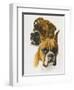 Boxer-Barbara Keith-Framed Giclee Print